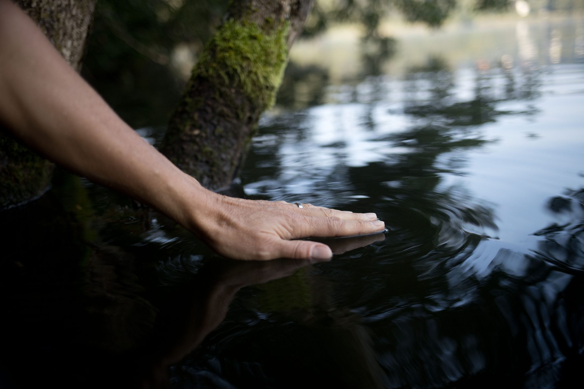 Ein Arm greift in dunkles, stilles Wasser