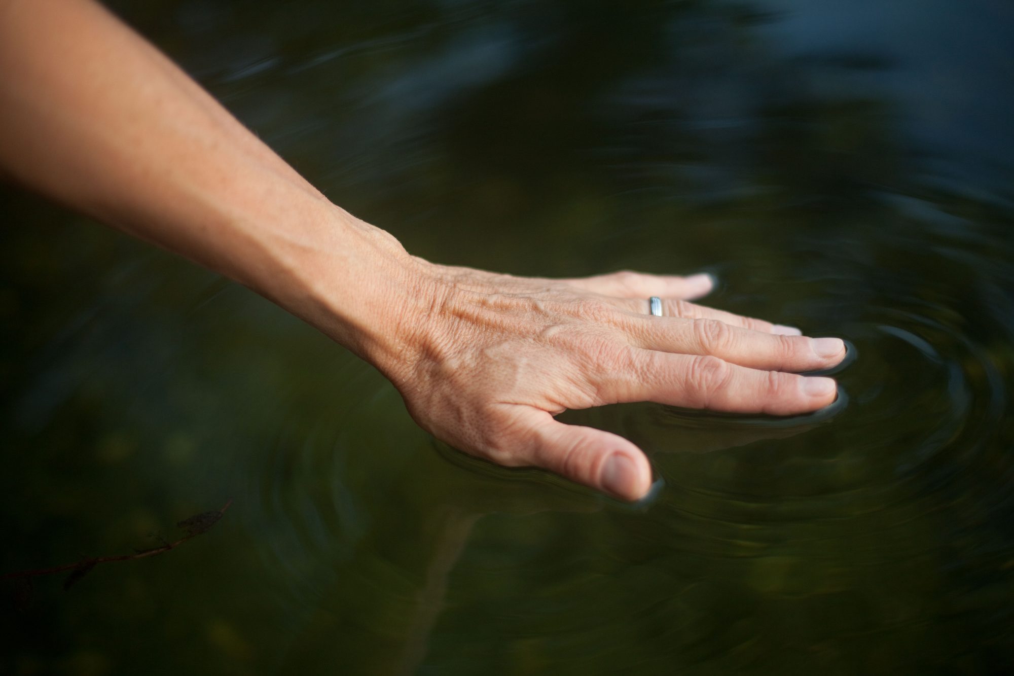 A hand stroking dark, still water